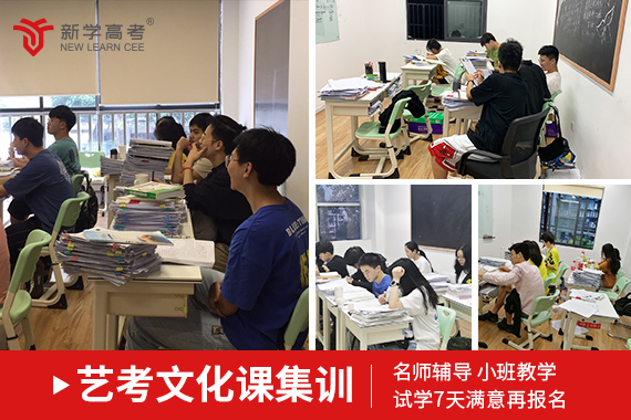 凉山高三培训机构价格指南 性价比与选择策略